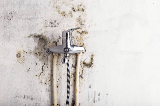 Trusted Country Clu, FL Mold Removal Experts