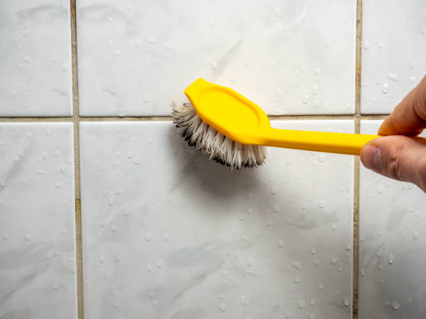 Certified Mold Removal in Country Clu, FL