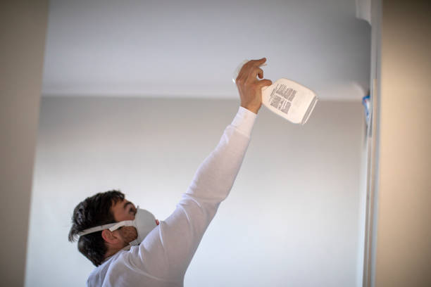Best Mold Cleaning Services  in Country Clu, FL