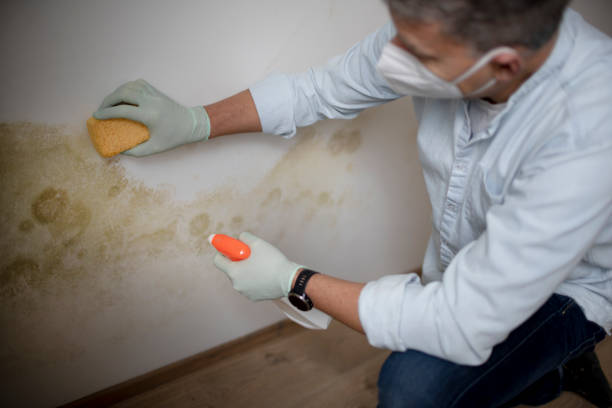 Water Damage Restoration in Country Clu, FL